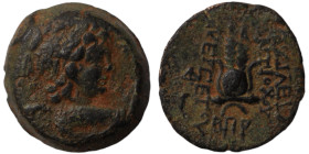 Antiochos VII. Euergetes. (138-129 BC). Bronze . (17mm 5,17g) Antioch.