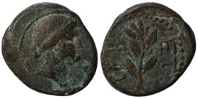 under Nero. (50-60AD). Pseudo-autonomous Bronze . (16mm 3,44g). Antioch.