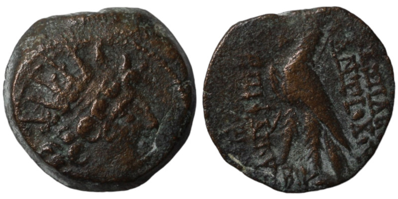 Antiochos VIII. Epiphanes. (109-96 BC). Bronze . (18mm 5,88g) Antioch.