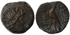 Antiochos VIII. Epiphanes. (109-96 BC). Bronze . (18mm 5,88g) Antioch.