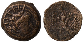 Alexander II. Zabinas. (128-122 BC). Bronze . (21mm 8,96g) Antioch.