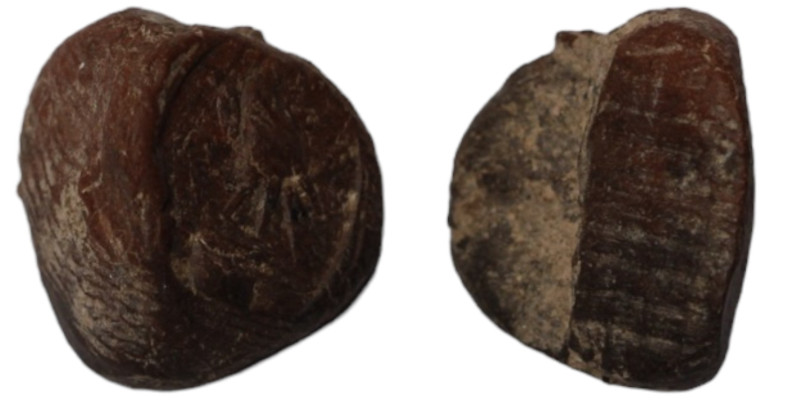 ancient seal impression. sealing wax. (11mm 0,66g) eagle standing left.