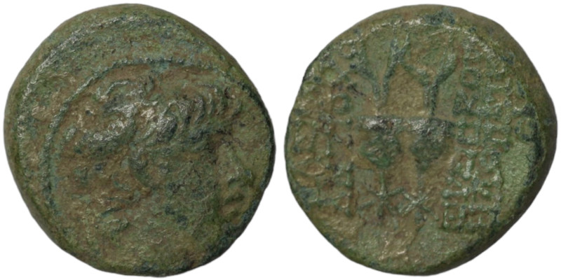 Antiochos X. Eusebes. (94-88 BC). Bronze . (19mm 7,18g) Antioch.