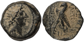 Antiochos VIII. Epiphanes. (109-96 BC). Bronze . (18mm 5,70g) Antioch.