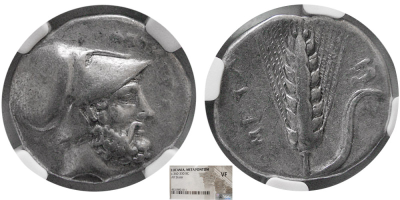 LUCANIA, Metapontum. Circa 340-330 BC. AR Stater. NGC-VF. Head of bearded Leukip...