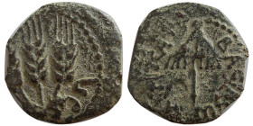 JUDAEA. Herodians. Agrippa I. Æ Prutah. Year 6 (41/2 CE).