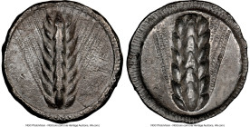 LUCANIA. Metapontum. Ca. 510-470 BC. AR stater (23mm, 1h). NGC Choice VF. META, grain ear; guilloche border on raised rim / Incuse grain ear; striated...