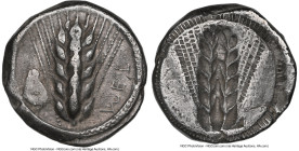 LUCANIA. Metapontum. Ca. 470-440 BC. AR stater (19mm, 11h). NGC Choice VF. MET (retrograde), grain ear; ram's head on left; guilloche border on raised...