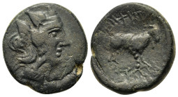 Macedon, Amphipolis, c. 187-168/7 BC. Æ (17,6mm, 6g). Wreathed head of Dionysos r. R/ Goat standing r. Touratsoglou 19; cf. SNG ANS 142-3 (monogram); ...