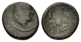 Macedon, Amphipolis, c. 187-31 BC. Æ (17mm, 4.7g). Head of Artemis(?) right R/ Corn-ear. SNG ANS 107-8; SNG Cop. 60.