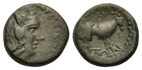 Macedon, Amphipolis, c. 187-31 BC. Æ (16,8mm, 5.6g). Head of Dionysos rιγητ. R/ΑΜΦΙΠΟ-ΛΕΙΤΩΝ, goa standing right.SNG ANS 142-3