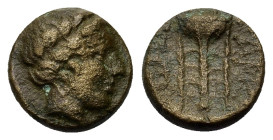 Macedon, Olynthos. Chalkidean League, c. 360-348 BC. Æ (11,4mm, 2g). Laureate head of Apollo r. R/ Tripod. SNG ANS 561; BMC Macedonia pg. 69, 32; SNG ...