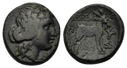 Macedon, Thessalonica, c. 187-31 BC. Æ (18,9mm, 9.2g). Head of young Dionysos right, wreathed in ivy. R/ ΘEΣΣA-ΛO NI-KH-Σ above and beneath goat stand...