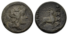 Macedon, Thessalonica, 187-131 BC. Æ (18,2mm, 5.9g). Wreathed head of Dionysos right. R/ ΘΕΣΣΑΛΟΝΙΚHΣ. Goat standing right. SNG ANS 800.