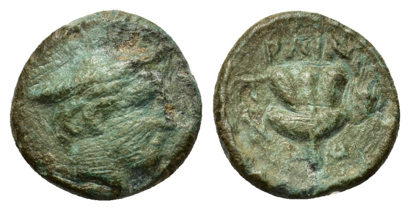 Macedon, Tragilos, c. 405-390 BCÆ Dichalkon (15,5mm, 3.5g). Head of Hermes right...