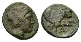 Kings of Macedon. Pausanias. c. 395/4-393 BC. Aigai or Pella. Æ (13,3mm, 3.3g). Head of Apollo right, wearing tainia. R/[ΠΑΥΣ / Α]ΝΙΑ. Forepart of lio...