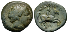 Kings of Macedon. Time Philip II - Antipater & Alexander V. Circa 359-294 BC. Æ Unit (18,9mm, 6.6g). In the name and types of Philip II. Uncertain min...