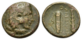 Kings of Macedon, Alexander III 'the Great' (336-323 BC) . Æ Unit (17,8mm, 5.2g). Uncertain mint in Macedon. Head of Herakles right, wearing lion skin...