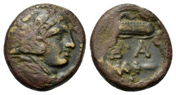 Kings of Macedon, Alexander III 'the Great' (336-323 BC). Æ (17,2mm, 5.9g). Head of Herakles r., wearing lion skin headdress. R/ B – A; bow in quiver ...