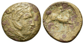 Kings of Macedon. Kassander (316-297 BC). AE Unit (20,5mm, 6.4g). Pella. Head of young Herakles r., wearing lion's skin. R/ Horseman riding r., right ...