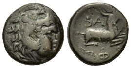 Kings of Macedon. Philip V (221-179 BC). Æ (20mm, 8.8g). Pella or Amphipolis mint, struck 183-183/2 B.C. Head of Herakles right, wearing lion's skin h...
