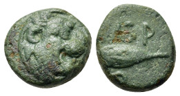 Thrace, Chersonesos, c. 386-309 BC. Æ (10,5mm, 1.2g). Roaring head of lion r. R/ Barley grain; XEP-PO above and below. Traité IV, 1577; HGC 3.2, 1440....