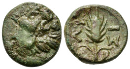Thrace, Lysimacheia, c. 309-220 BC. Æ (15,7mm, 3.25g). Head of a lion r. R/ Grain ear. SNG Copenhagen 918.