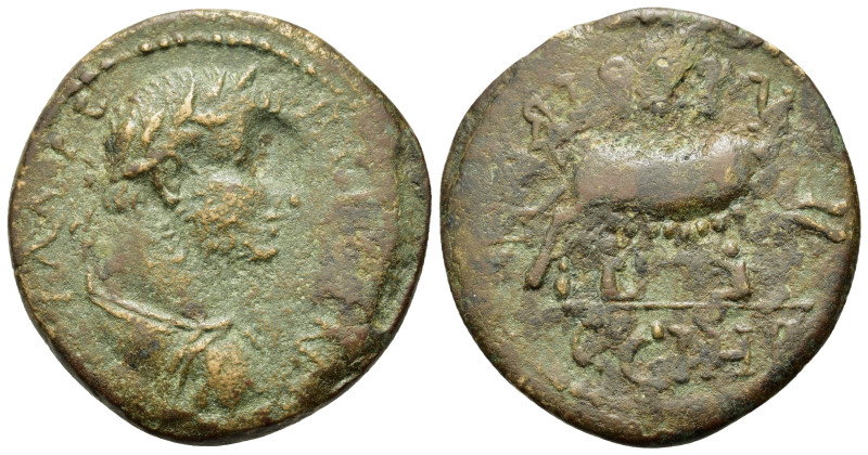 Gallienus (253-268). Mysia, Parium. Æ (28mm, 10.40g). Laureate and cuirassed bus...