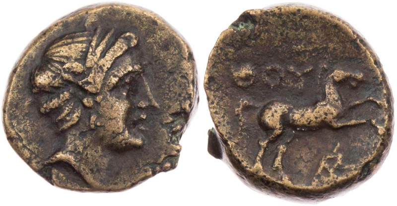 LUKANIEN THOURIOI
 AEs 280-213 v. Chr. Vs.: Kopf des Apollon n. r., Rs.: Pferd ...
