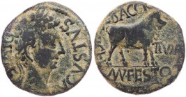 SPANIEN CELSA
Augustus, 27 v. - 14 n. Chr. AE-As Duumviri Lucius Baggius und Mnaeus Flavius Festus Vs.: AVGVSTVS DIVI F, Kopf mit Lorbeerkranz n. r.,...