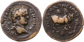 KAPPADOKIEN TYANA
Caracalla, 198-217 n. Chr. AE-Diassarion 212/213 n. Chr. (= Jahr 16) Vs.: Kopf mit Lorbeerkranz n. r., Rs.: Zebu schreitet n. r., i...