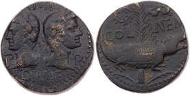 RÖMISCHE KAISERZEIT
Augustus, 27 v.-14 n. Chr. AE-Dupondius 10-14 n. Chr. Nemausus Vs.: IMP / DIVI F / P - P, Köpfe des Agrippa mit corona rostrata n...