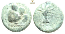 Islamic coins AE Bronze 3,2 g. 15,8 mm.