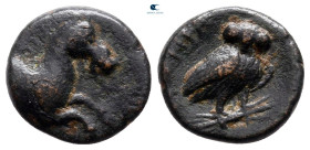 Lucania. Herakleia circa 280-150 BC. Bronze Æ
