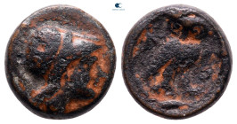 Lucania. Velia circa 200-100 BC. Bronze Æ