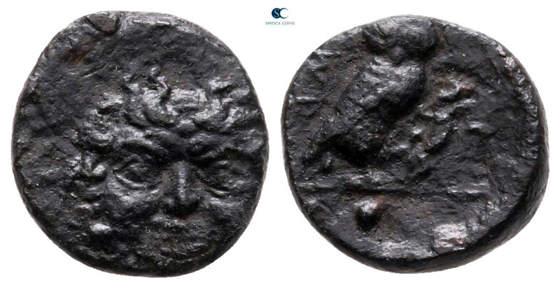Sicily. Kamarina circa 420-405 BC. 
Tetras or Trionkion Æ

13 mm, 1,53 g

...