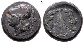 Sicily. Syracuse. Time of Pyrrhos 278-276 BC. Bronze Æ