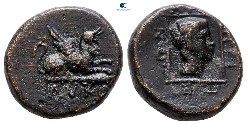 Thrace. Abdera circa 311-280 BC. 
Bronze Æ

15 mm, 3,62 g



Very Fine