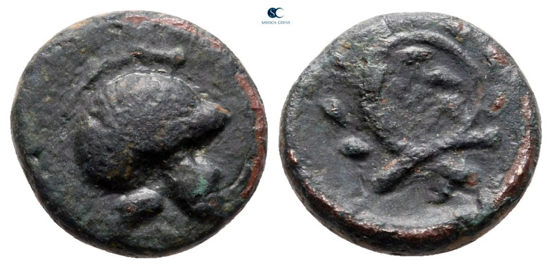 Thrace. Maroneia (as Agathokleia) circa 290-282 BC. 
Bronze Æ

13 mm, 1,96 g...