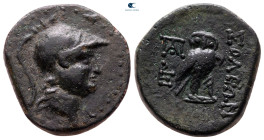 Cilicia. Soloi circa 200-0 BC. Bronze Æ