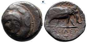 Seleukid Kingdom. Uncertain mint. Antiochos III Megas 223-187 BC. Bronze Æ