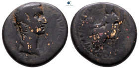 Ionia. Smyrna. Gaius (Caligula) AD 37-41. Bronze Æ