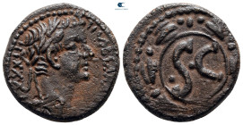 Seleucis and Pieria. Antioch. Tiberius AD 14-37. Bronze Æ