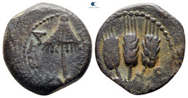 Judaea. Jerusalem. Herodians. Agrippa I AD 37-43. Prutah Æ