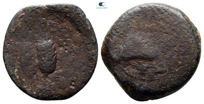 Judaea. Jerusalem. Herodians. Agrippa I AD 37-43. 
Prutah Æ

18 mm, 2,56 g
...