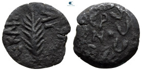 Judaea. Jerusalem. Procurators. Porcius Festus AD 59-62. Prutah Æ