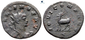 Gallienus AD 253-268. Rome. Antoninianus Æ