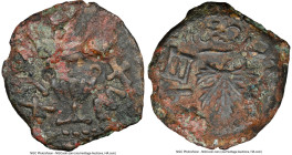 JUDAEA. Jewish War (AD 66-70). AE prutah (17mm, 2.70 gm, 6h). NGC Choice XF 4/5 - 1/5. Jerusalem, Year 2 (AD 67/8). Year Two (Paleo-Hebrew), amphora w...