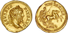 SEPTIME SÉVÈRE (193-211)
Aureus : La Victoire tenant un fouet sur un bige au galop à droite
 - TTB 45 (TTB++)
Très Rare !! - légers coups


SM 6...