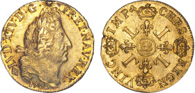 LOUIS XIV le Grand (1643-1715)
Double louis d'or aux 4 L
1700 BB - SUP 50 (SUP-)
flan neuf - Rarissime !!!
Le millésime 1700 est extrêmement rare ...
